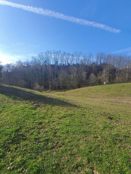 Tbd Taylor Rd, Fall Branch, TN 37656