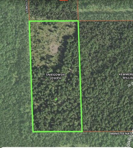 V/L Off Taylor Rd, Free Soil, MI 49411