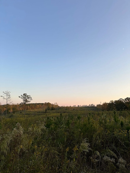 0 Prior Station Rd Unit 25352786, Cedartown, GA 30125