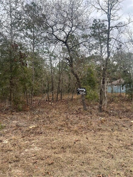 TBD Lot 1 NE 154 Ave, Williston Highlands, FL 32696