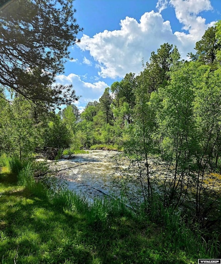 10 Lodore Ave, Story, WY 82842