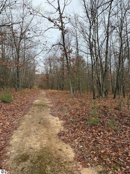 2966 W Houghton Lake Rd, Lake City, MI 49651