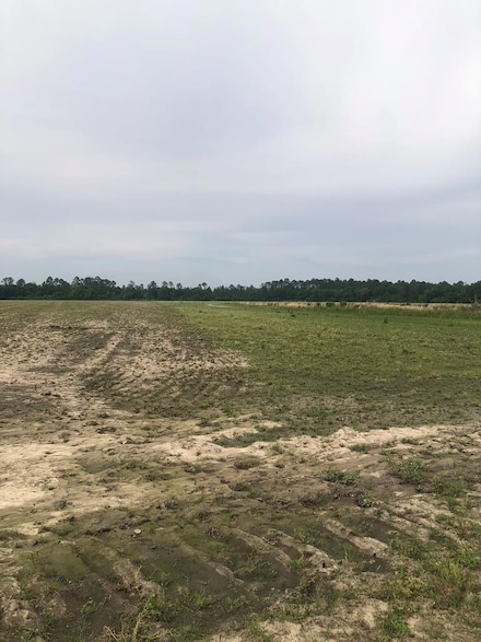2045 10 Mile Bay Rd, Nashville, GA 31639