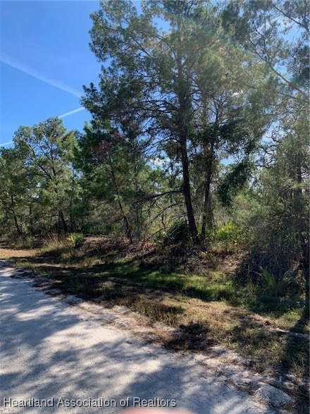 1222 Cockatoo Ave, Lake Placid, FL 33852