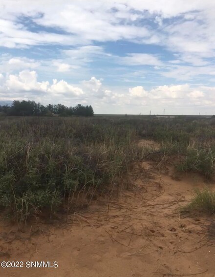 000 Quitman Rd, Chaparral, NM 88081