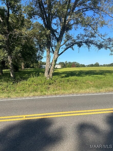 0 Highway 87 Unit 552141, Troy, AL 36079