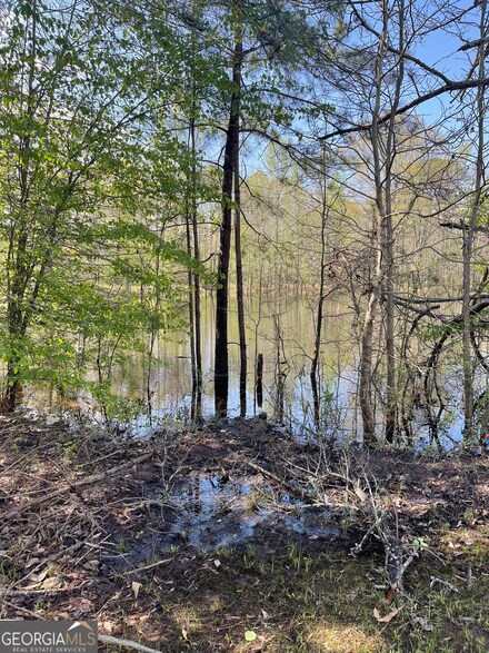 3 ACRES Anderson Rd, Griffin, GA 30223