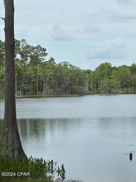Lot 20 Magnolia Way, Chipley, FL 32428