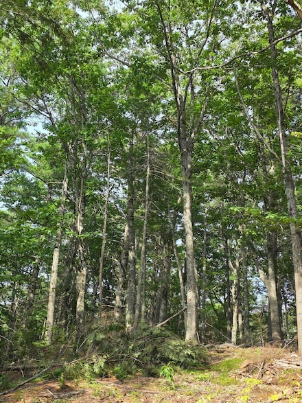 00 Pinnacle Rd, Liberty, ME 04949