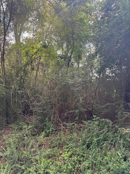 TBD Cr 115d, Overton, TX 75684