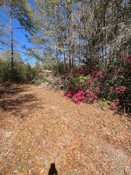 1721 W Highway 90, Baker, FL 32531