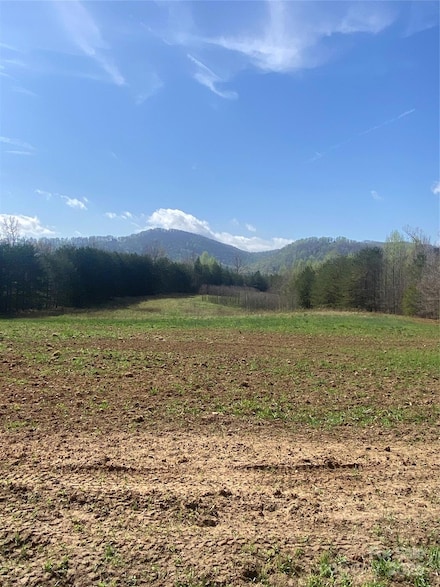 0 Cane Creek Mountain Rd Unit CAR4242016, Bostic, NC 28018
