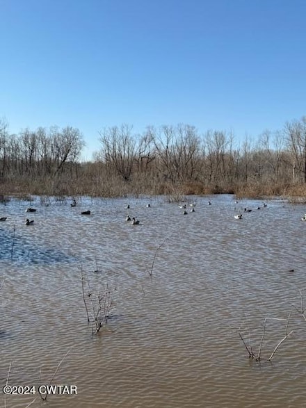 00 Frye Rd, Lavinia, TN 38348