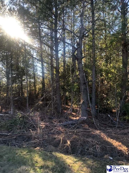 TBD Kershaw Rd, Timmonsville, SC 29161