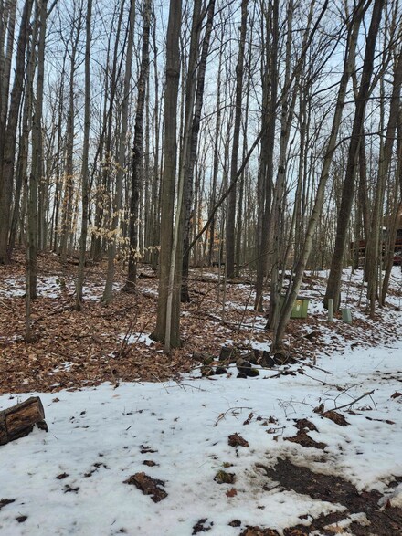 9780 Lost Canyon Dr Unit Lot 674, Canadian Lakes, MI 49346