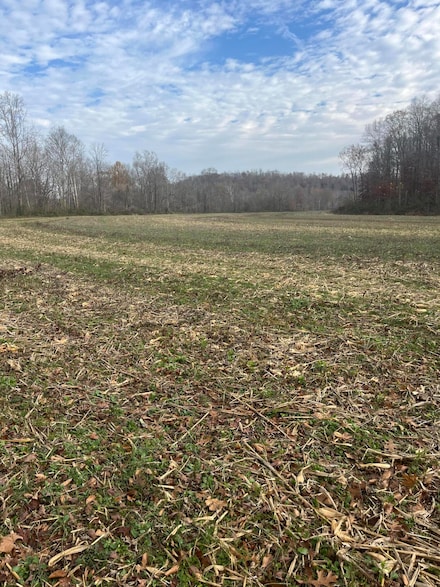 7375 Kentucky 501, Liberty, KY 42539