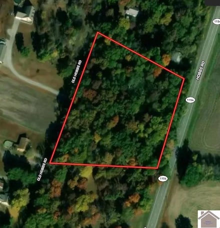 4215 Hobbs Rd, Kevil, KY 42053