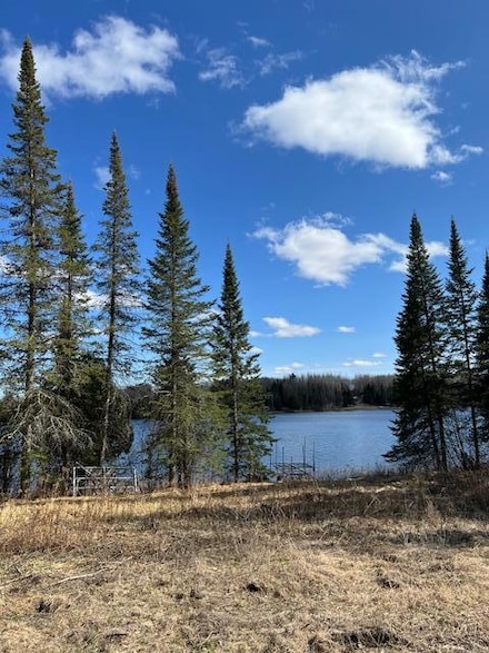 7285 W Leavitt Rd NE, Outing, MN 56662