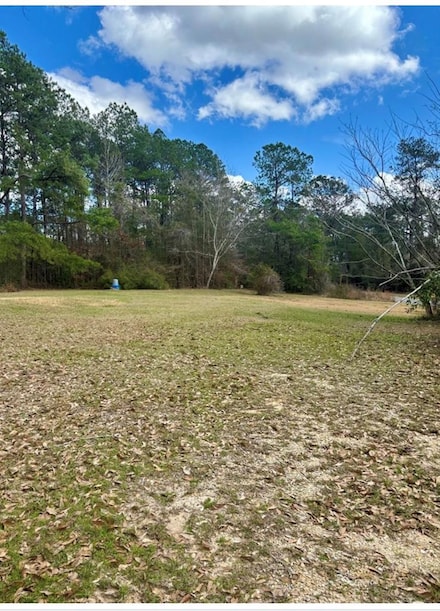 101 Will Thompson Rd, Picayune, MS 39466