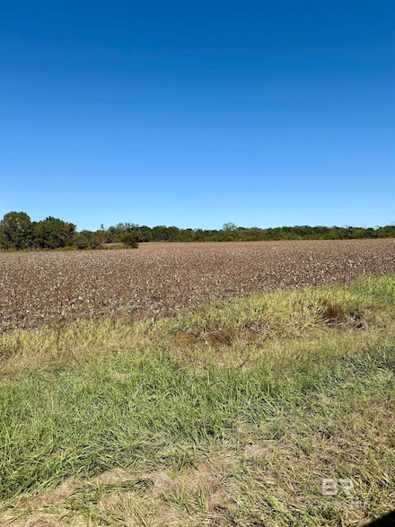 26520 County Road 67, Loxley, AL 36551