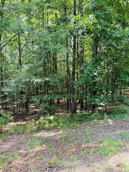 Lot 56 Primrose Creek, Heber Springs, AR 72543