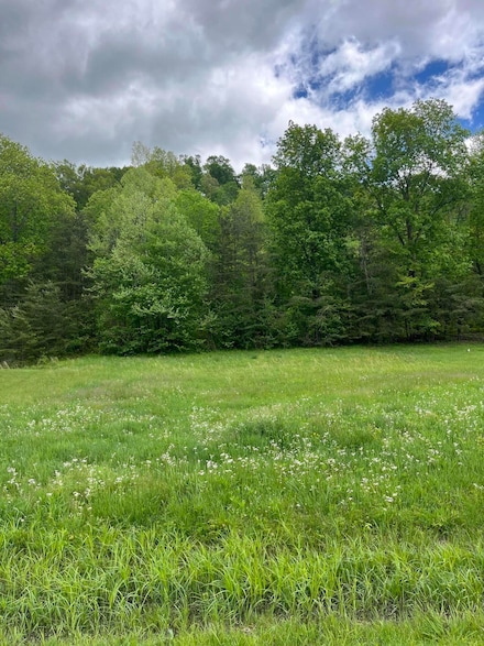 TBD Carrington Green Rd, Sudith, KY 40371