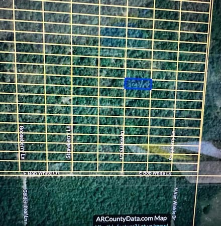 1318 Dewberry Ln, Horseshoe Bend, AR 72512