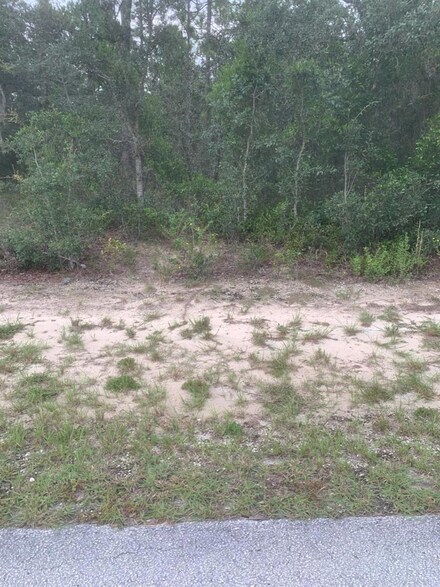 0 SW Anchor Lot 36 Blvd, Dunnellon, FL 34431
