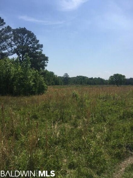 20008 S State Road 55, Libertyville, AL 36420