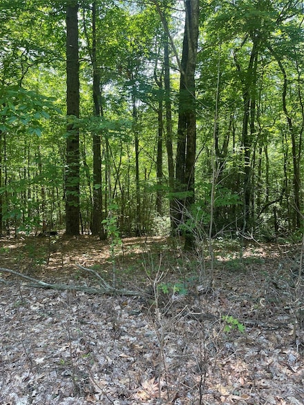 TBD Arrowhead Ridge Rd, Brevard, NC 28712