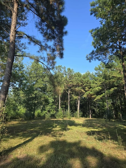 12777 Farm To Market Road 252, Kirbyville, TX 75956