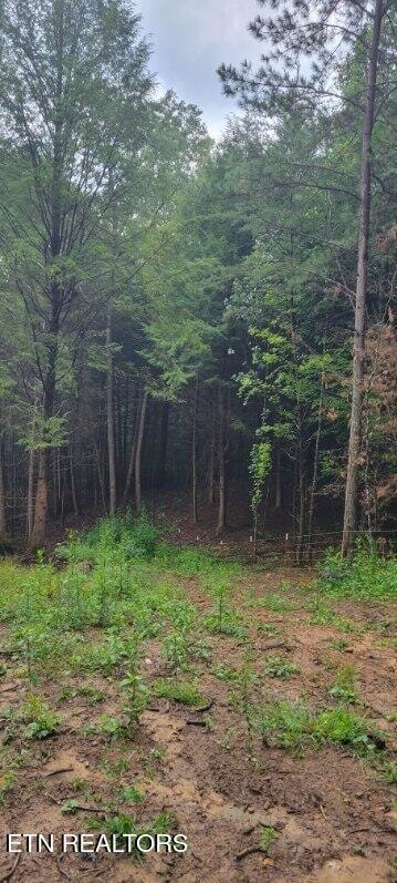 150 AC Prong of Clear, Jamestown, TN 38556