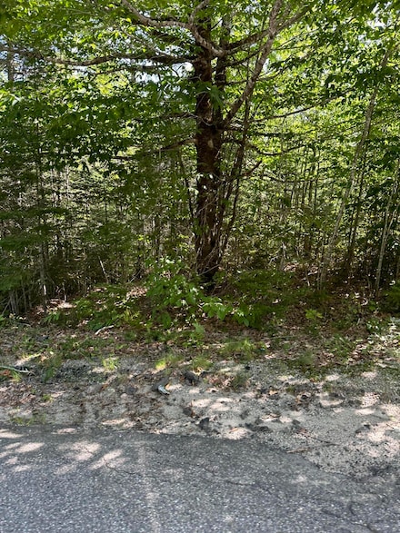 0 Tenan Ln, Cherryfield, ME 04622