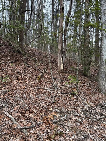 0 Old Rocky Branch Rd, Topton, NC 28781