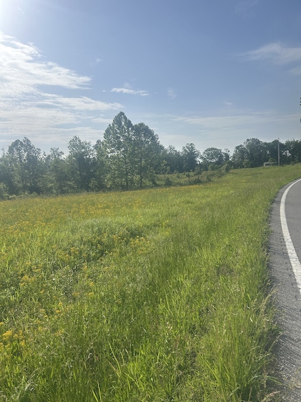 2047 Buffalo Rd, Hohenwald, TN 38462