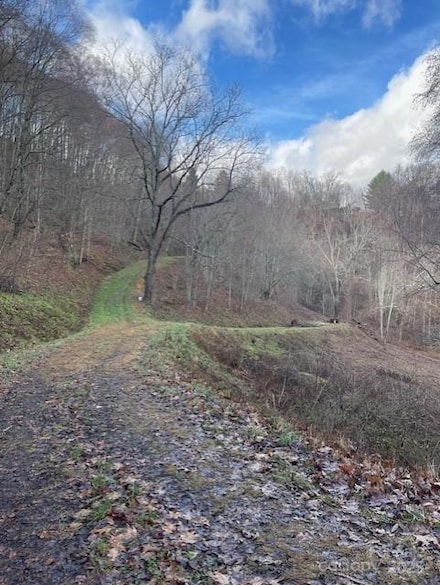0 Hardwood Cove Unit 100 CAR4214070, Waynesville, NC 28785