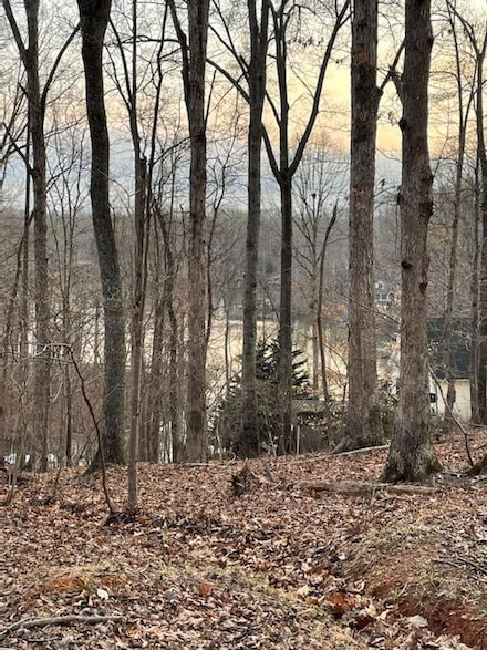 Lot 4 Charmwood Cir, Moneta, VA 24121