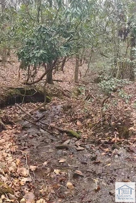 tbd Pine Knoll Loop, Stuart, VA 24171