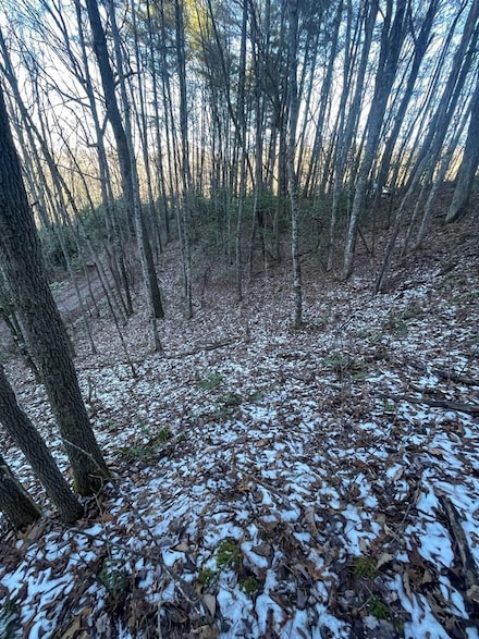 LT 17 Enchanted Forest Dr, Sylva, NC 28779