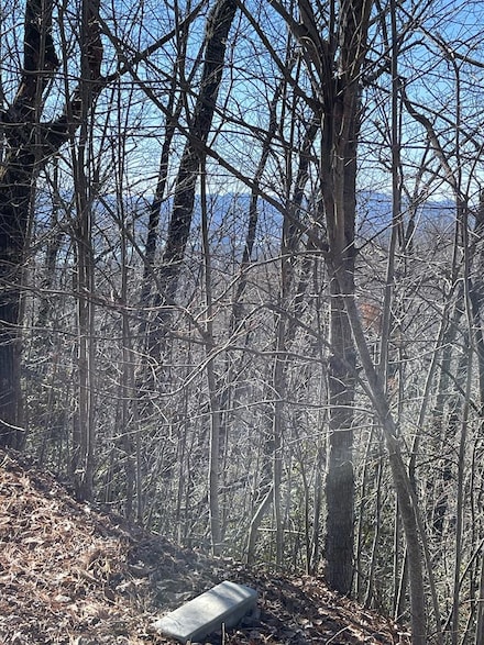 Lot 29J Ash Branch Rd, Hayesville, NC 28904