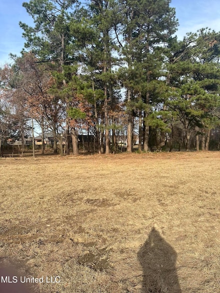 Lot 2 S Hamilton Cir, Olive Branch, MS 38654