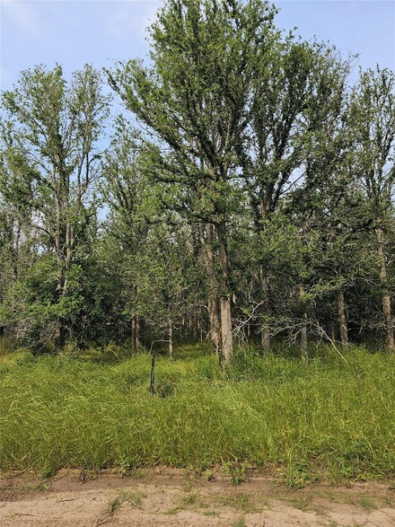 288 Kahana Ln, Bastrop, TX 78602