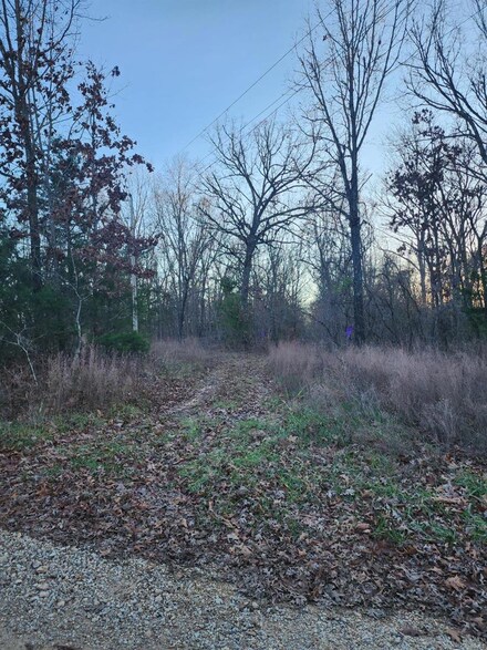0 Booker Rd, Cullen Township, MO 65583