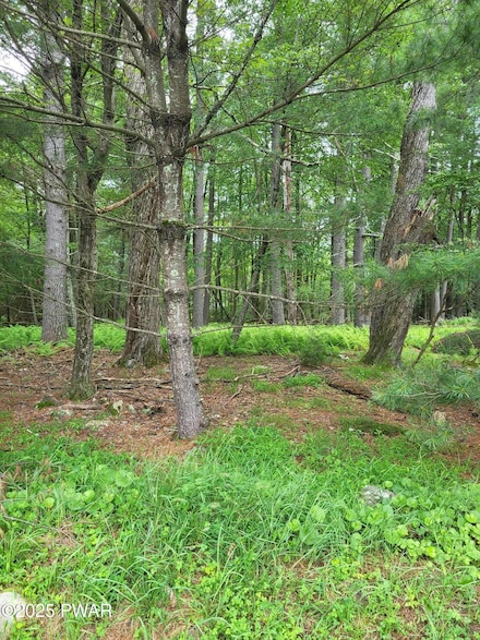 Lot #97 Nichecronk Rd, Delaware Township, PA 18328