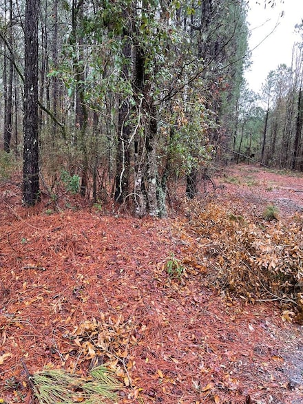 00 Archer Ave, Manning, SC 29102