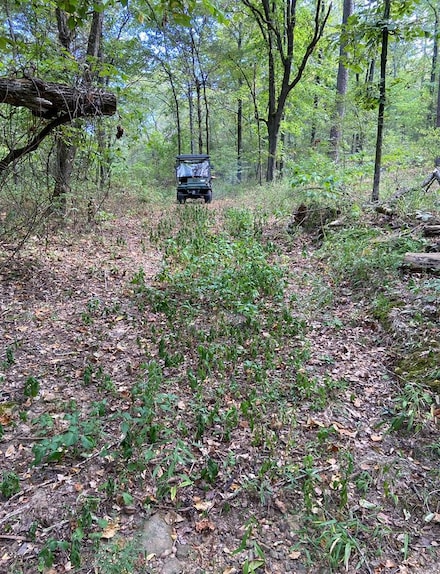 T01S-R15E Kiamichi Wildernes Unit Lot 9, Daisy, OK 74523