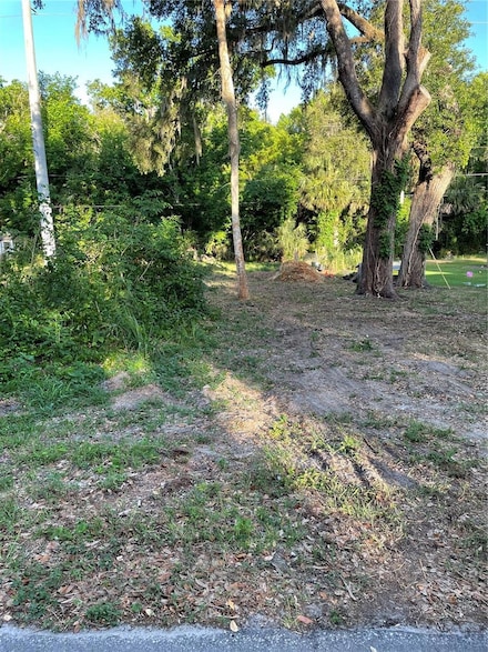 5320 Park Ave, de Leon Springs, FL 32130