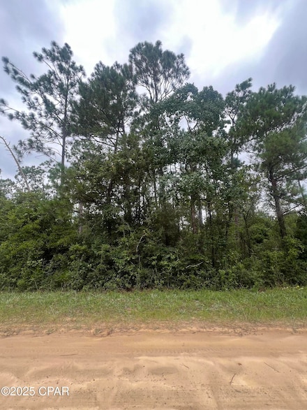 0 Brandon Rd, Fountain, FL 32438