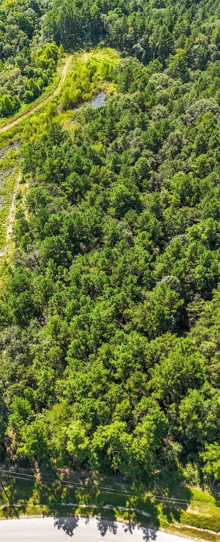 99 Granite Rd, Huntsville, TX 77340