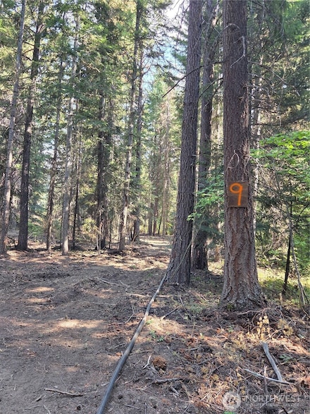 9 Double O Rd, Ronald, WA 98940